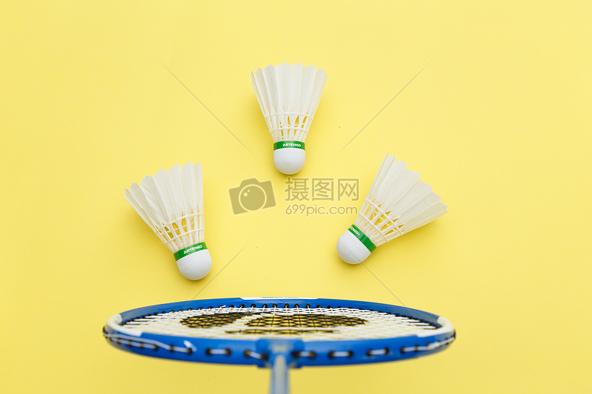 迷的呐喊助 迷的呐喊助