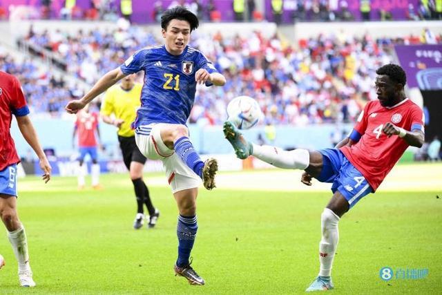 典攀登录像 典攀登录像