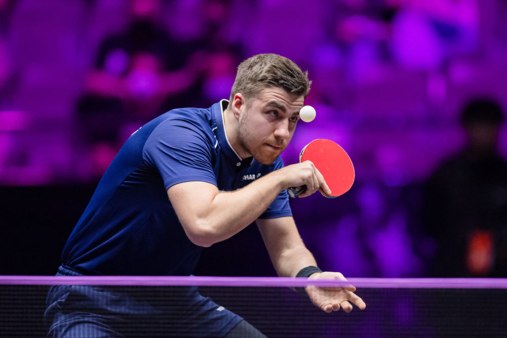 供了参考 供了参考