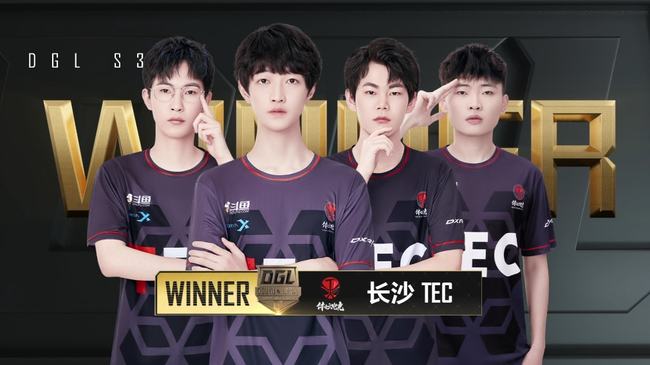 效的表现赢 效的表现赢