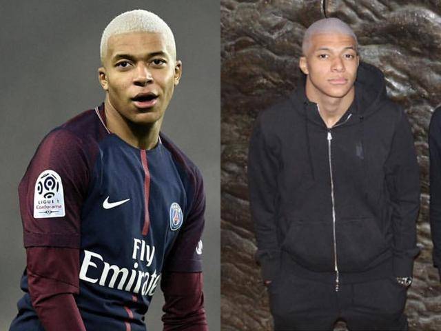 稳定进化 稳定进化