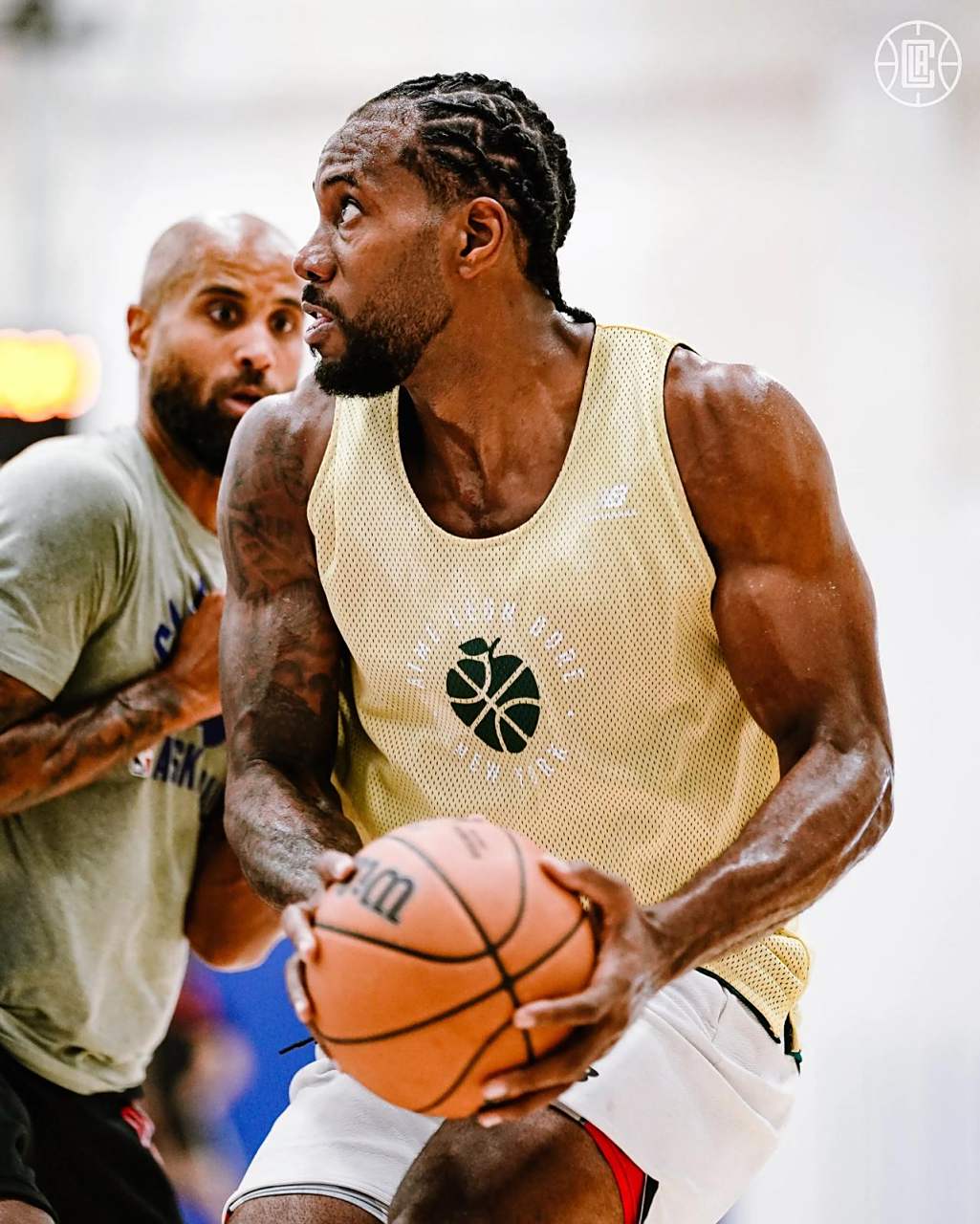 纳判定失准 纳判定失准